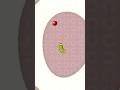 Worms zone io wormszone shortsviral shortsfeed