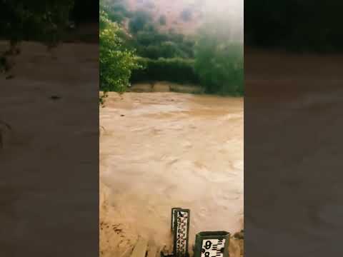 فيضان نهر سبو