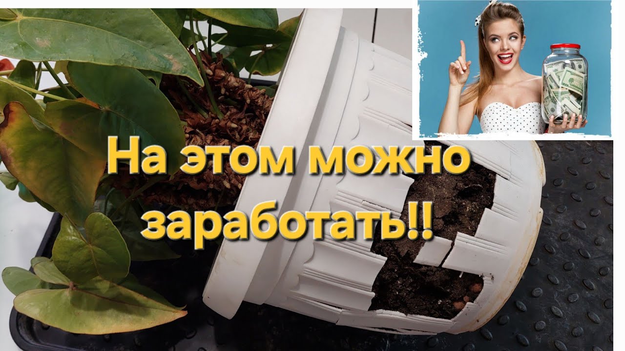 Спасаю ненужные растения ! - YouTube