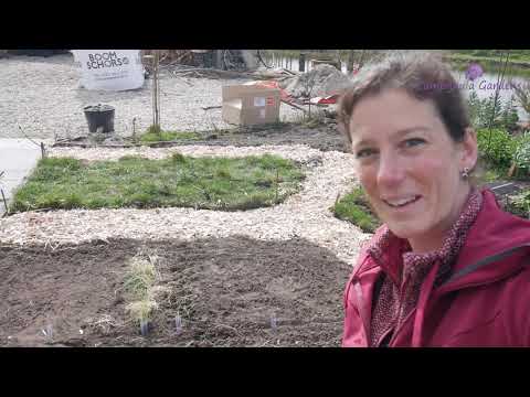 Video: Wat om in April in oop grond te plant?
