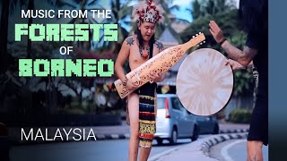 Download Lagu From the forests of Borneo to the world: Music that heals MP3
