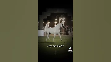 ياما نفسى ازور طه الرسول 
