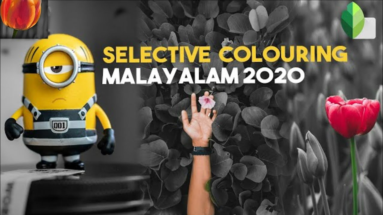 selective colour editing using Snapseed application