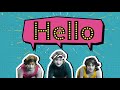 Introduction to the community | giffgaff