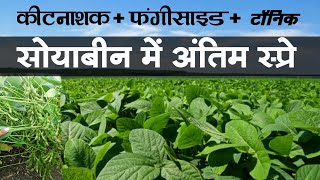 सोयाबीन की खेती | soyabean main antim spray | सोयाबीन में लास्ट स्प्रे कोनसा लें | e Plant Health