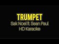 TRUMPET BY SAK NOEL FT SEAN PAUL HD KARAOKE 