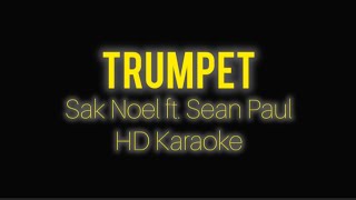 Download lagu TRUMPET BY SAK NOEL FT. SEAN PAUL HD KARAOKE