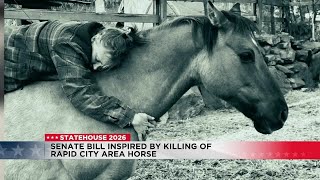 Bill introduced following a gruesome death of a Rapid City horse sent to 41st day