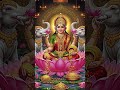 #laxmi om jai maa Laxmi 🙏🪔 #song #laxminarayansong #musicsong