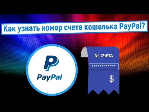 Как узнать номер счета кошелька PayPal