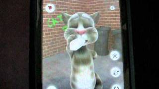 Talking Tom App screenshot 4