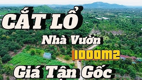 TỪ BỎ ĐAM MÊ NHÀ VƯỜN ,CẦN BÁN GẤP ĐỂ XOAY SỞ CÔNG VIỆC NHÀ VƯỜN TẠI XÃ PHÚ LỘC TÂN PHÚ ĐỒNG NAI