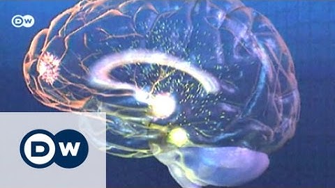 Can memories be intentionally erased? | Tomorrow Today