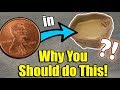 3 Cleaning Hacks for Reptile Owners!