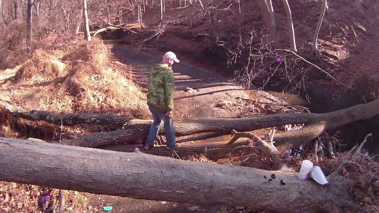 Cretaceous fossil hunting at Big Brook Creek, NJ