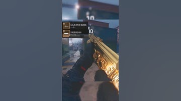 My *CANTED SIGHT* Minibak build is the best for MW2