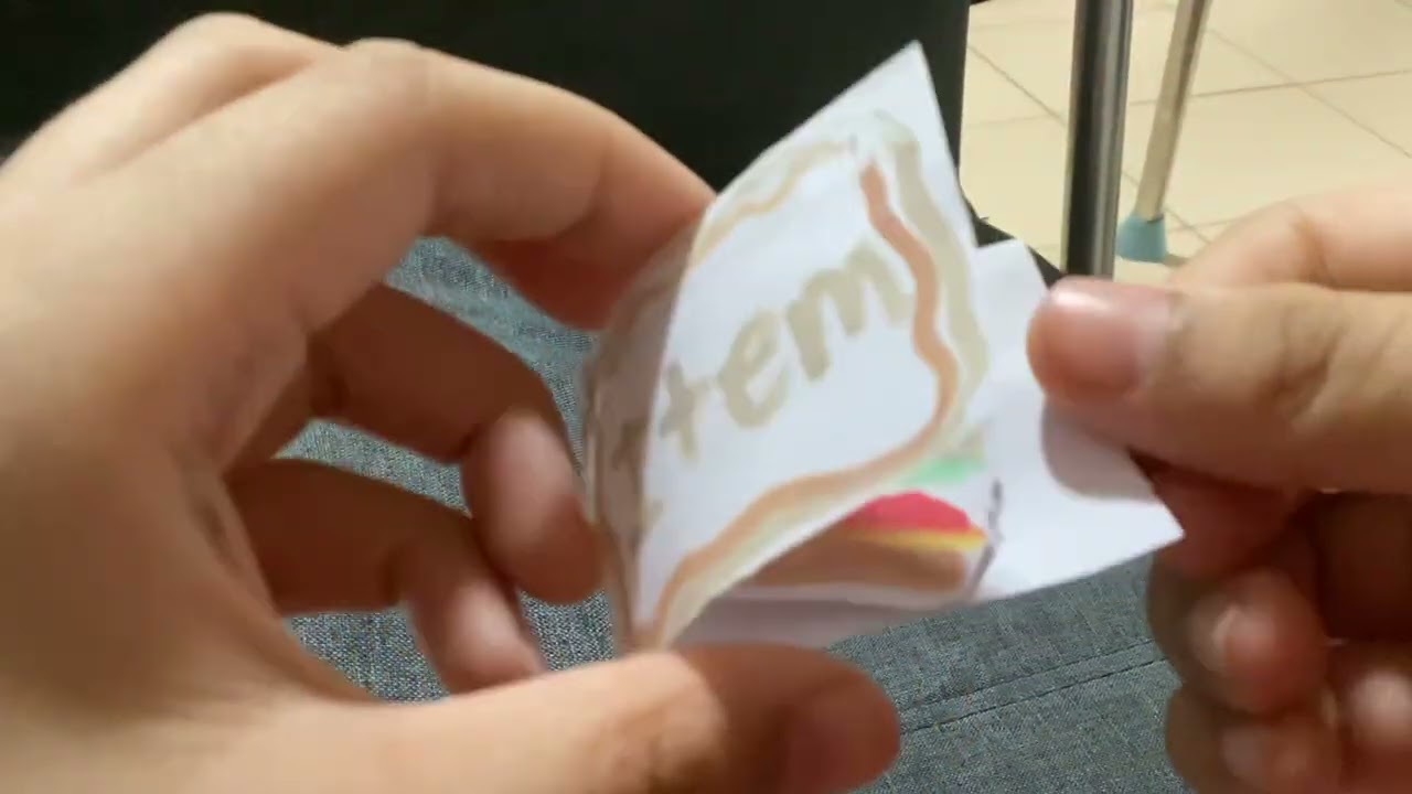 Capybara blind box unboxing