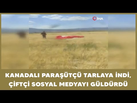 Kanadalı paraşütçü tarlaya indi, çiftçi sosyal medyayı güldürdü