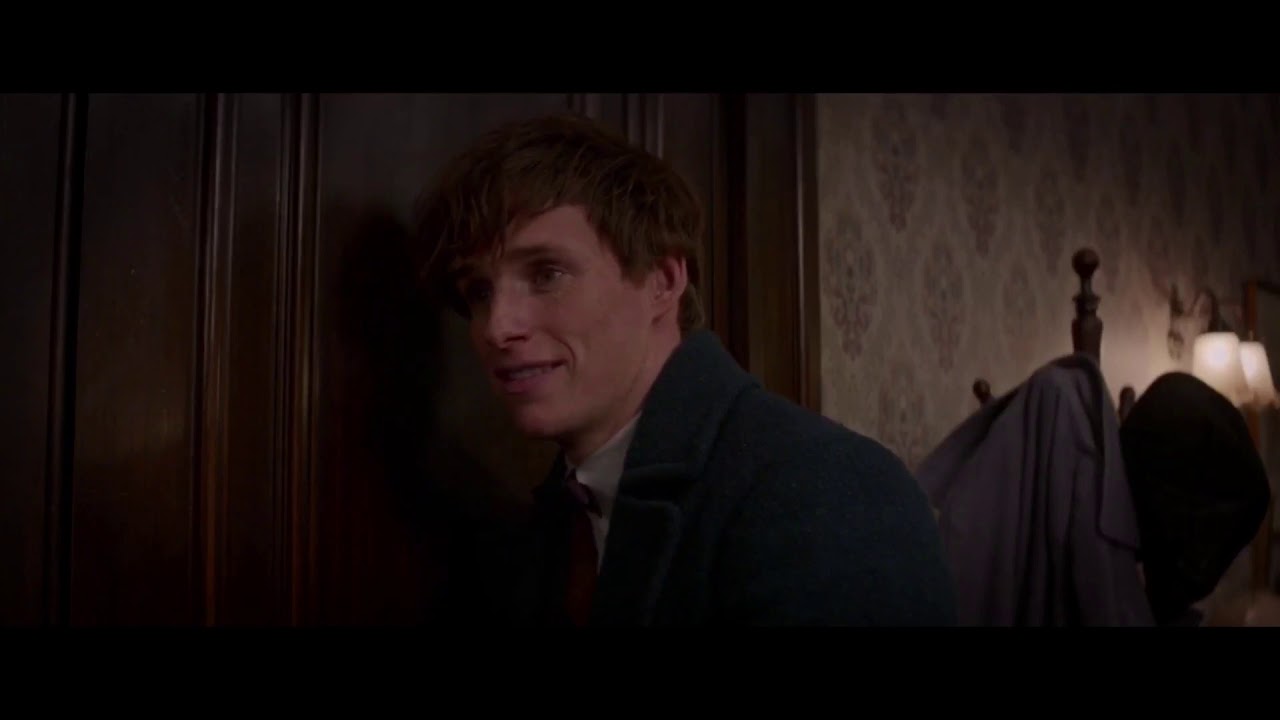 Newt Scamander scenes FBAWTFT (logoless)