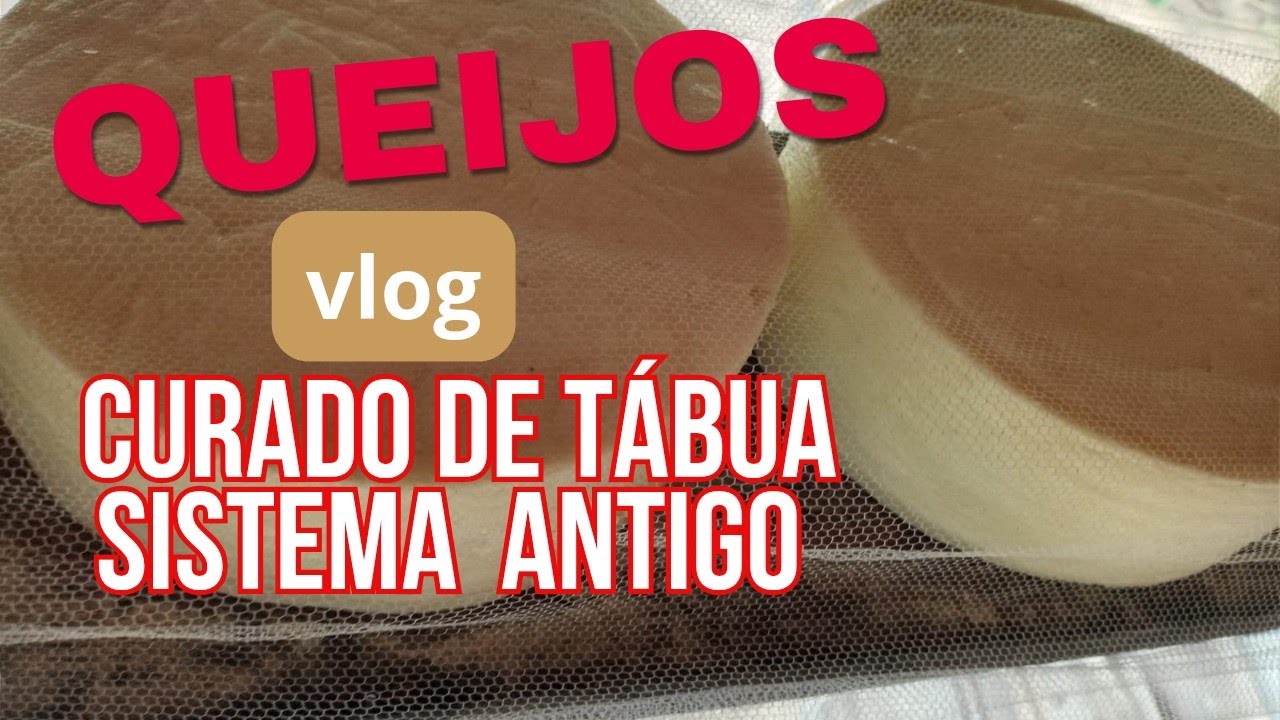 COMO FAZER UM BOM QUEIJO CURADO DE TÁBUA (moda antiga)