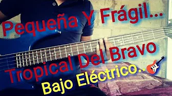Pequeña Y Fragil-Bajo Electrico Tropical Del Bravo Cover...JG 2019 Pequeña Y Fragil-Bajo Electrico Tropical Del Bravo Cover...JG 2019