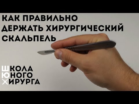 Видео: Скотт Стапп обвинен в том, что он хуй, больше или меньше