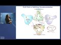 WALS: DeWitt Stetten Jr. Lecture- Molecular Mechanisms Underlying Glycinergic Neurotransmission​
