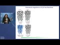 WALS: DeWitt Stetten Jr. Lecture- Molecular Mechanisms Underlying Glycinergic Neurotransmission​