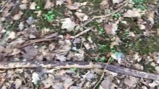IMG 1850