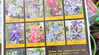 花ページ YouTube