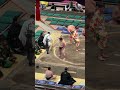 後藤！2026年大相撲5月場所