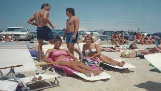 Kings of Cape Cod on NECN