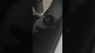 Kawasaki KLE500 2026 Fairing Vibrations