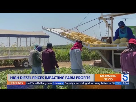 Record diesel prices put squeeze on U.S. farmers