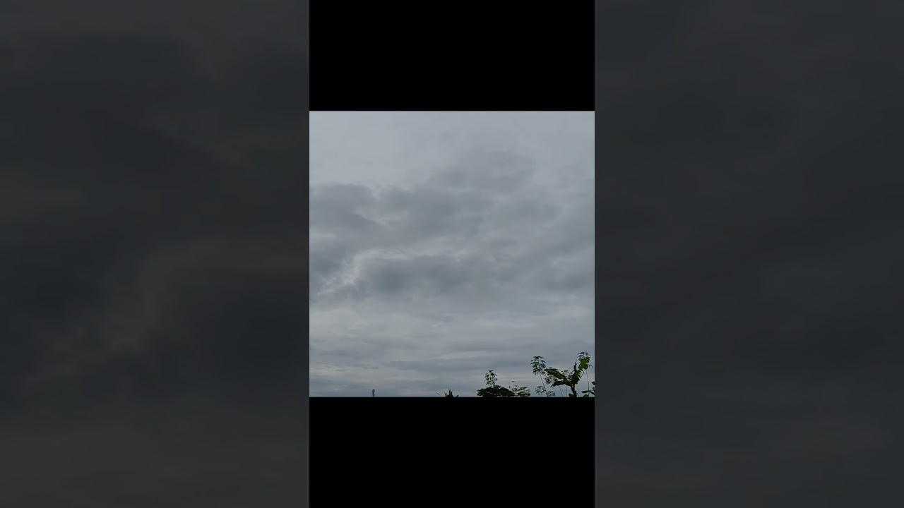 Pegawai SPPG vs Guru Honorer?ini solusinya pak presiden