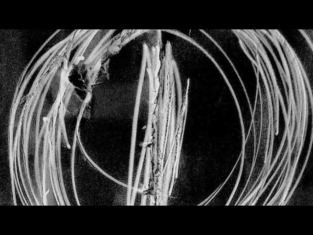 Incert Coin - Drowning