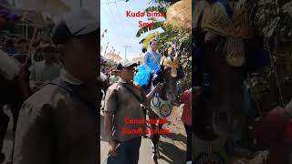 kuda bima sumedang #gandikariam #kudarenggong #vidioshort