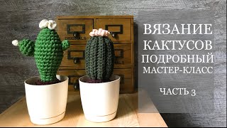 Вяжем кактус крючком. Заключение. Часть 3.