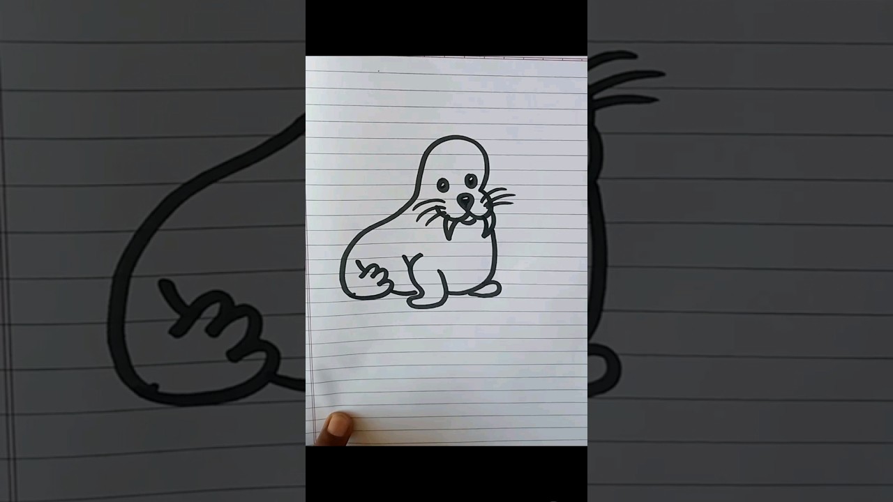 Walrus Drawing Shorts|| How to draw a Walrus|| 