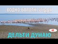 Водно-болотні угіддя дельти Дунаю. Дунайський біосферний заповідник.