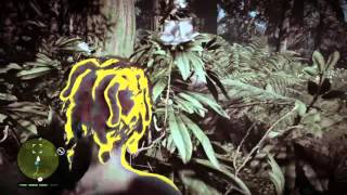 Far Cry Primal Rare Black Jaguar Location