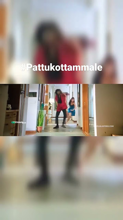 Pattukotta Ammale Remix  #bagheera #pattukottai