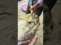 Masterpiece Reveal: Hand-Carving a Golden Phoebe 'Black Wood' Lotus Tea Tray