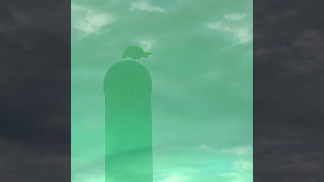 Royan St Denis D’Oleron A/R