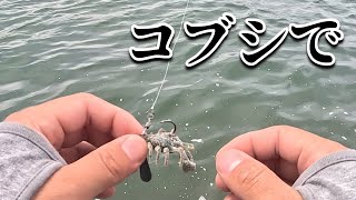 コブシで抵抗するチニング