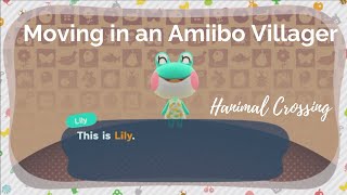 Animal Crossing How to get an Amiibo villager to move in