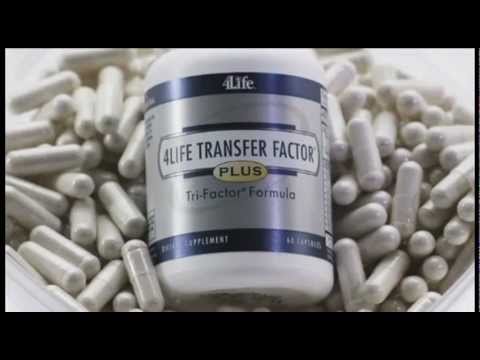 FACTORES DE TRANSFERENCIA  |  TRANSFER FACTOR  |  4Life - Transfer Factor  |  Español