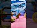 Bird Training:smart lovebird parrot l smart little cute parrot #training#smartparrot#cute