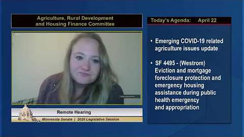 Senate Panel Considers Housing Support, Rental Protection