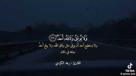 سوره الفجر #يقول يا ليتني قدمت لحياتي#قراءه رعد الكردي#